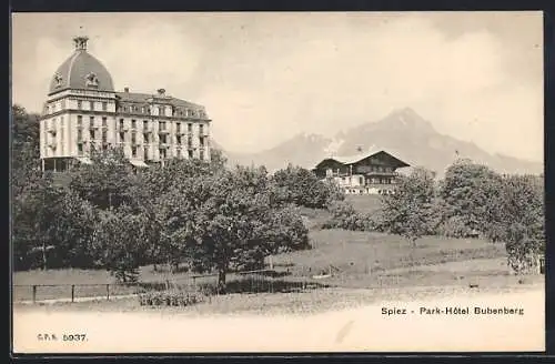 AK Spiez, Park-Hotel Bubenberg mit Umgebung