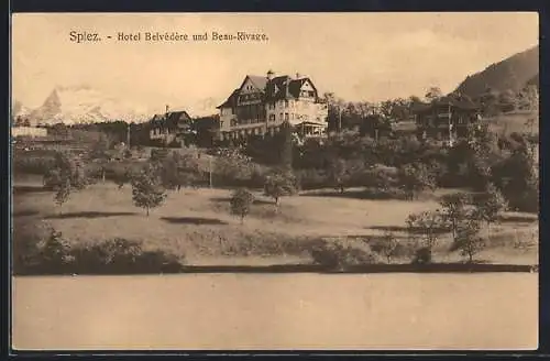AK Spiez, Hotel Belvedere und Beau-Rivage mit Umgebung