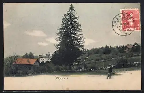 AK Chaumont /NE, Ortspartie mit Tanne