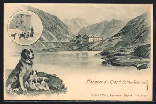 Lithographie Grand Saint-Bernard, L`hospice, Bernhardiner mit Welpen