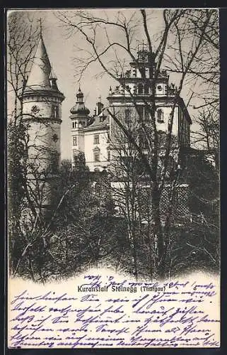 AK Steinegg, Blick auf die Kuranstalt