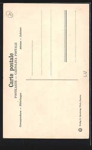 AK Luzern, Blick auf die Hofkirche