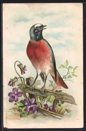 AK Vogel auf einem Zaun, blühende Veilchen