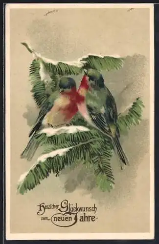 Präge-AK Singvögel auf einem Tannenzweig, Neujahrsgruss
