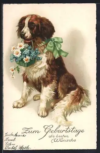 AK Bernhardiner bringt Blumen zum Geburtstag