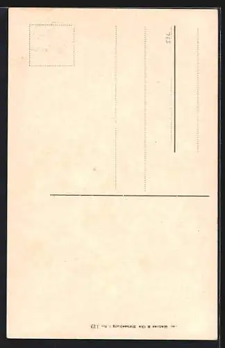 AK Strassburg i. E., Störche in ihrem Nest
