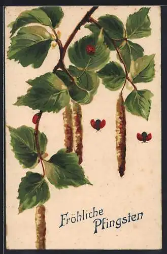 Präge-AK Marienkäfer auf Birkenzweigen, Pfingstgruss