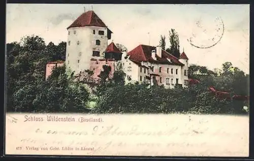 AK Wildenstein /Baselland, Blick auf das Schloss