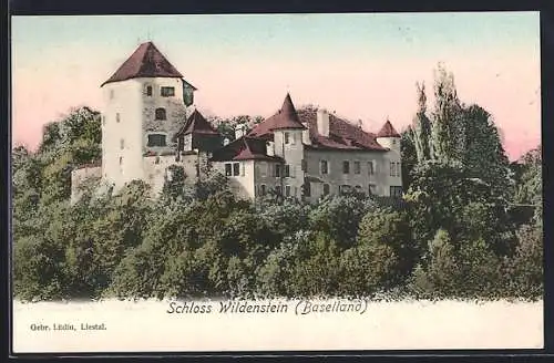AK Wildenstein /Baselland, Blick auf das Schloss