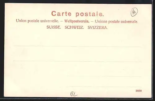 AK Wildenstein /Baselland, Blick auf das Schloss