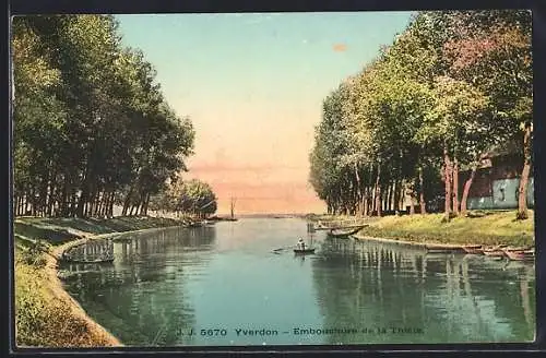 AK Yverdon, Embouchure de la Thièle