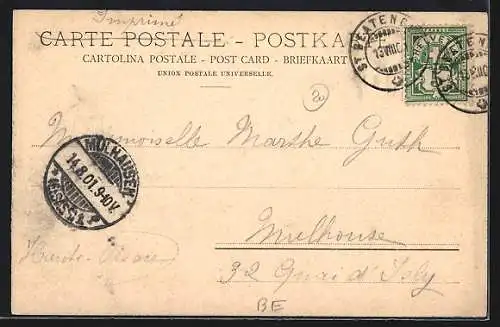 AK Beatenberg, Teilansicht mit Bergpanorama