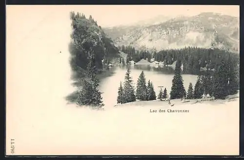 AK Lac des Chavonnes, Vue générale