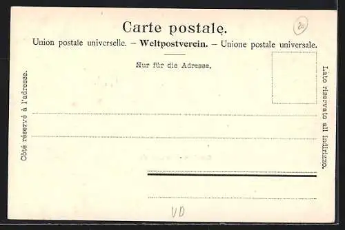 AK Grandson, Vue générale