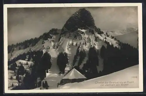 AK Montreux, Chalet de Gresalley et Dent de Jaman en hiver