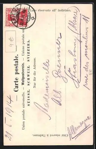 AK Brienz, Schweibenalp, grasende Rinder