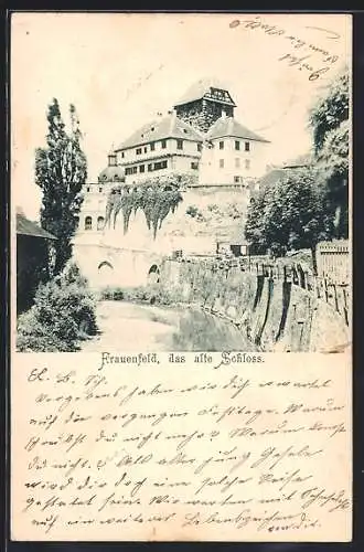AK Frauenfeld, das alte Schloss