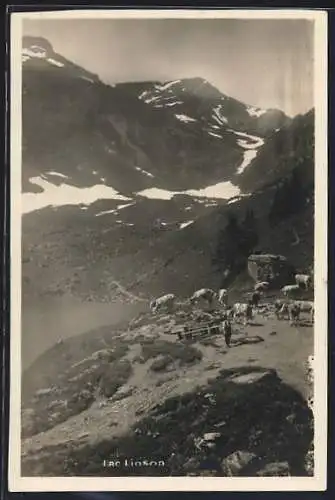 AK Ormont-Dessous, Lac Lioson, Bauer mit Rindern am See