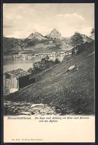 AK Brunnen /Vierwaldstättersee, Am Wege nach Selisberg, Ortsansicht mit den Mythen