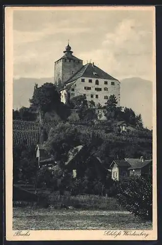 AK Werdenberg, Schloss Werdenberg