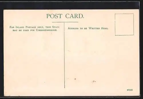 AK Union Castle Line Royal Mail Steamer Saxon