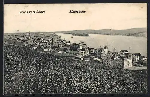 AK Rüdesheim /Rh., Gesamtansicht mit Rheinblick