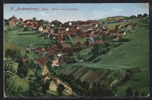 AK St. Andreasberg /Harz, Totalansicht vom Treibholz aus