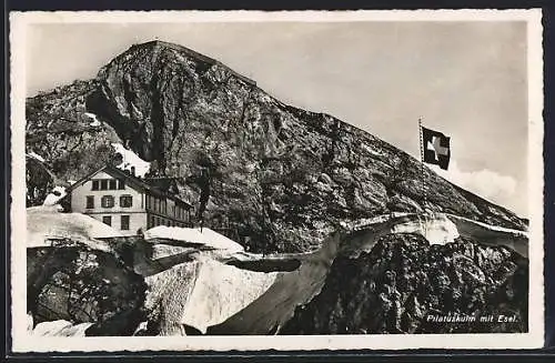 AK Pilatuskulm, Pilatuskulm mit Esel und schweizer Fahne