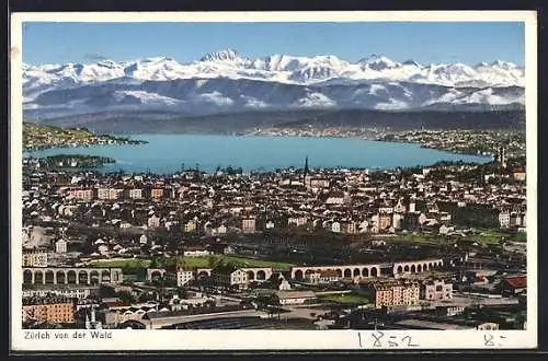 AK Zürich, Totalansicht von der Wald