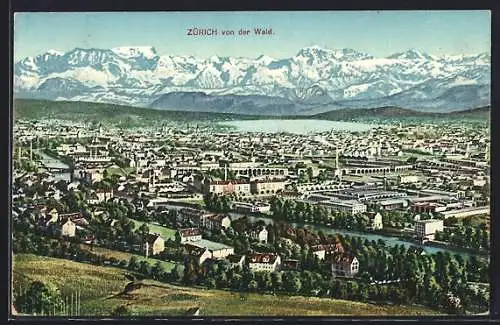 AK Zürich, Totalansicht von der Wald