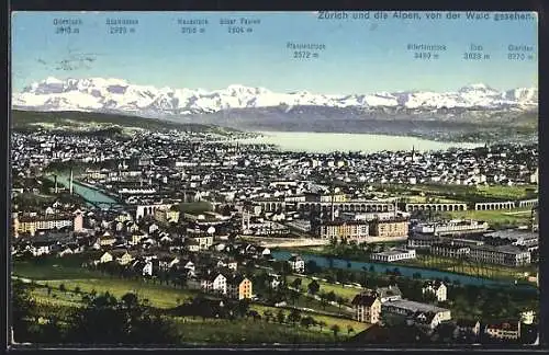 AK Zürich, Stadtansicht und die Alpen, von der Wald gesehen