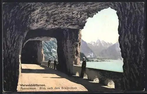 AK Axenstrasse, Vierwaldstättersee mit Blick nach dem Bristenstock