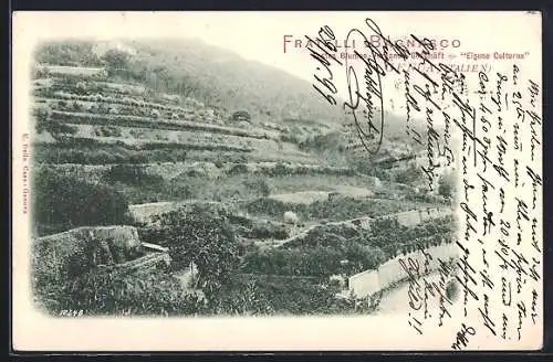 AK Genua, Fratelli Bagnasco, Erstes Blumen-Versandt-Geschäft Eigene Culturen