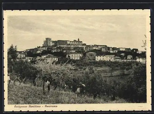 AK Rosignano Marittimo, Panorama