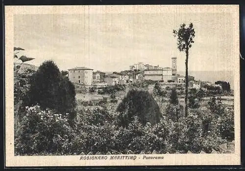 AK Rosignano Marittimo, Panorama
