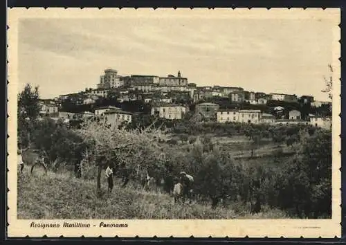 AK Rosignano Marittimo, Panorama
