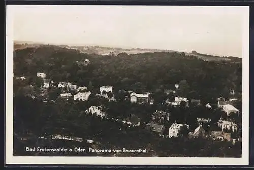 AK Bad Freienwalde a. Oder, Panorama vom Brunnenthal
