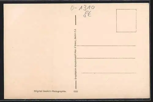 AK Bad Freienwalde a. Oder, Panorama vom Brunnenthal