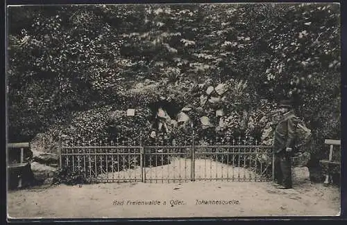 AK Bad Freienwalde a. Oder, Johannesquelle
