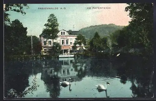 AK Freienwalde a. O., Am Papenteich