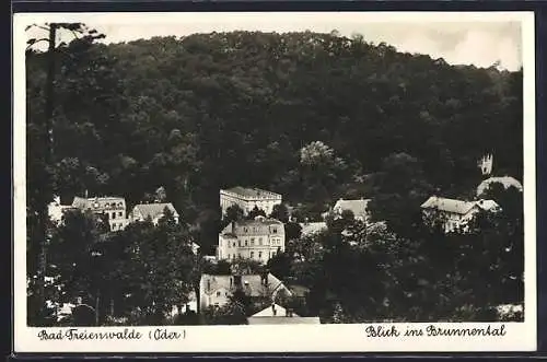 AK Bad Freienwalde, der Blick auf die Häuser im Brunnental