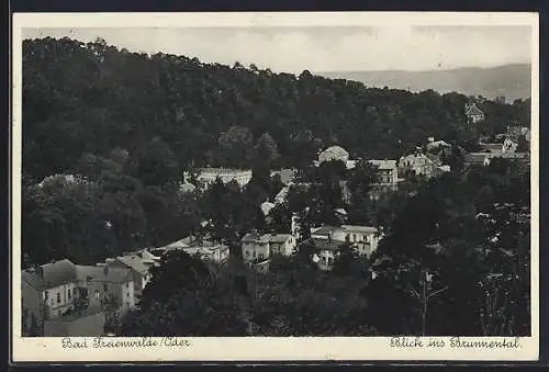 AK Bad Freienwalde /Oder, Blick ins Brunnental