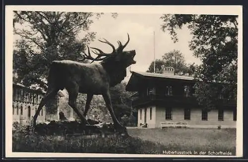 AK Hubertusstock in der Schorfheide, Hirsch am Jagdschloss
