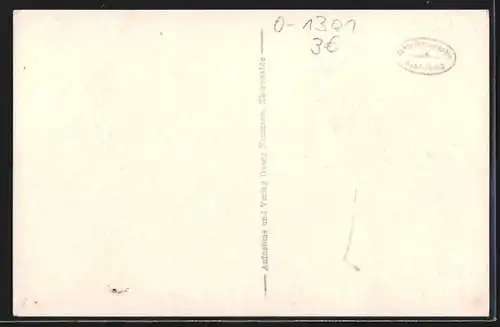 AK Hubertusstock in der Schorfheide, Hirsch am Jagdschloss