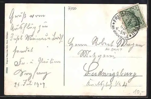 AK Insel Mainau /Bodensee, Gesamtansicht mit Umgebung, Dampfer