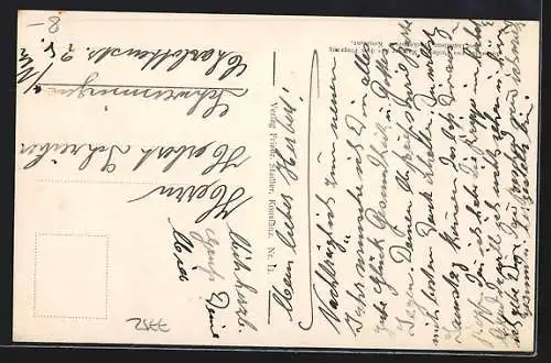 AK Insel Mainau, Luftaufnahme der Insel