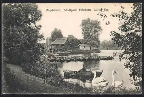 AK Magdeburg, Stadtpark, Fährhaus und Mittag-See