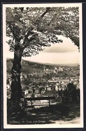 AK Arnsberg /Westf., Totalansicht von Osten