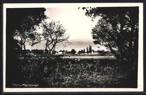 AK Königshof, Blick über Felder auf den Ort