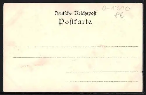 AK Bad Freienwalde a. O., Johannesquelle, Königsquelle